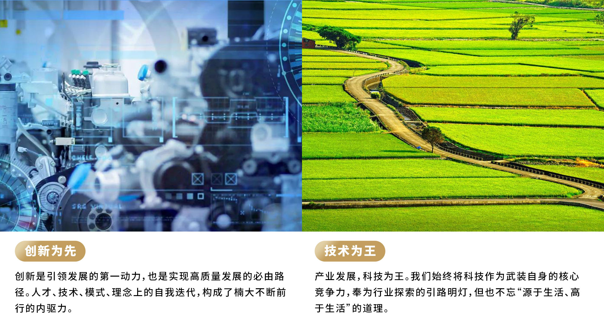 &#21916;&#21033;&#24471;&#40;&#20013;&#22269;&#41;
